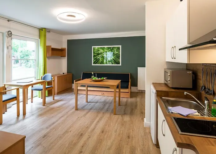 Ida * آرندزيه